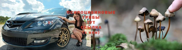 дживик Куйбышев