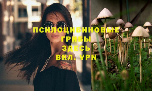 apvp Кулебаки